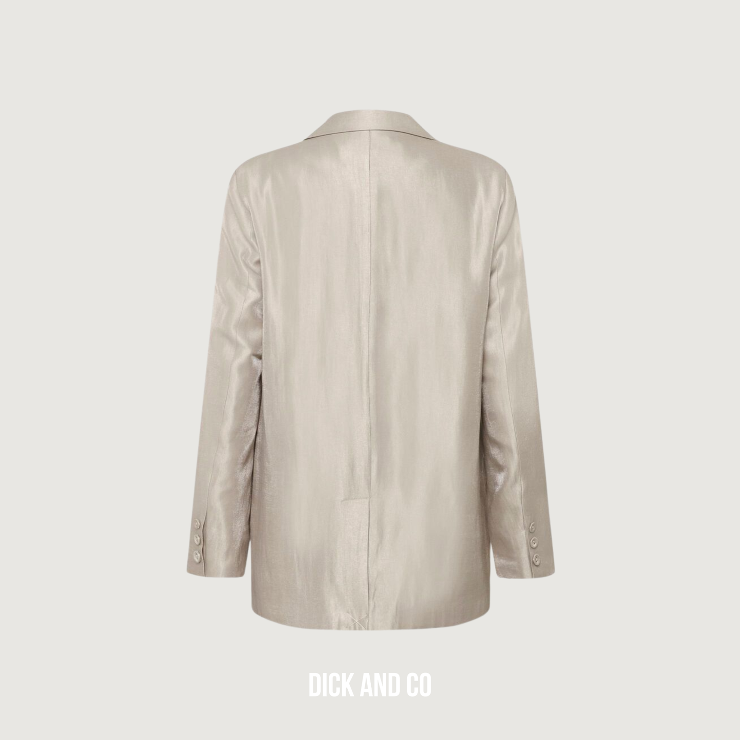 Shine Blazer