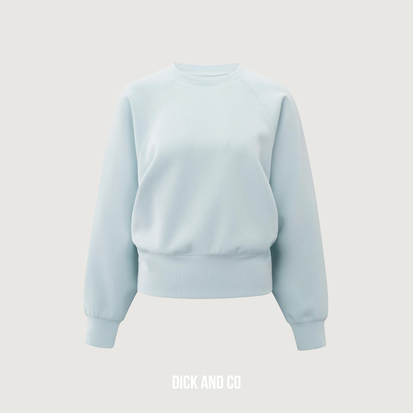 Raglan sweater (01-109099-510)