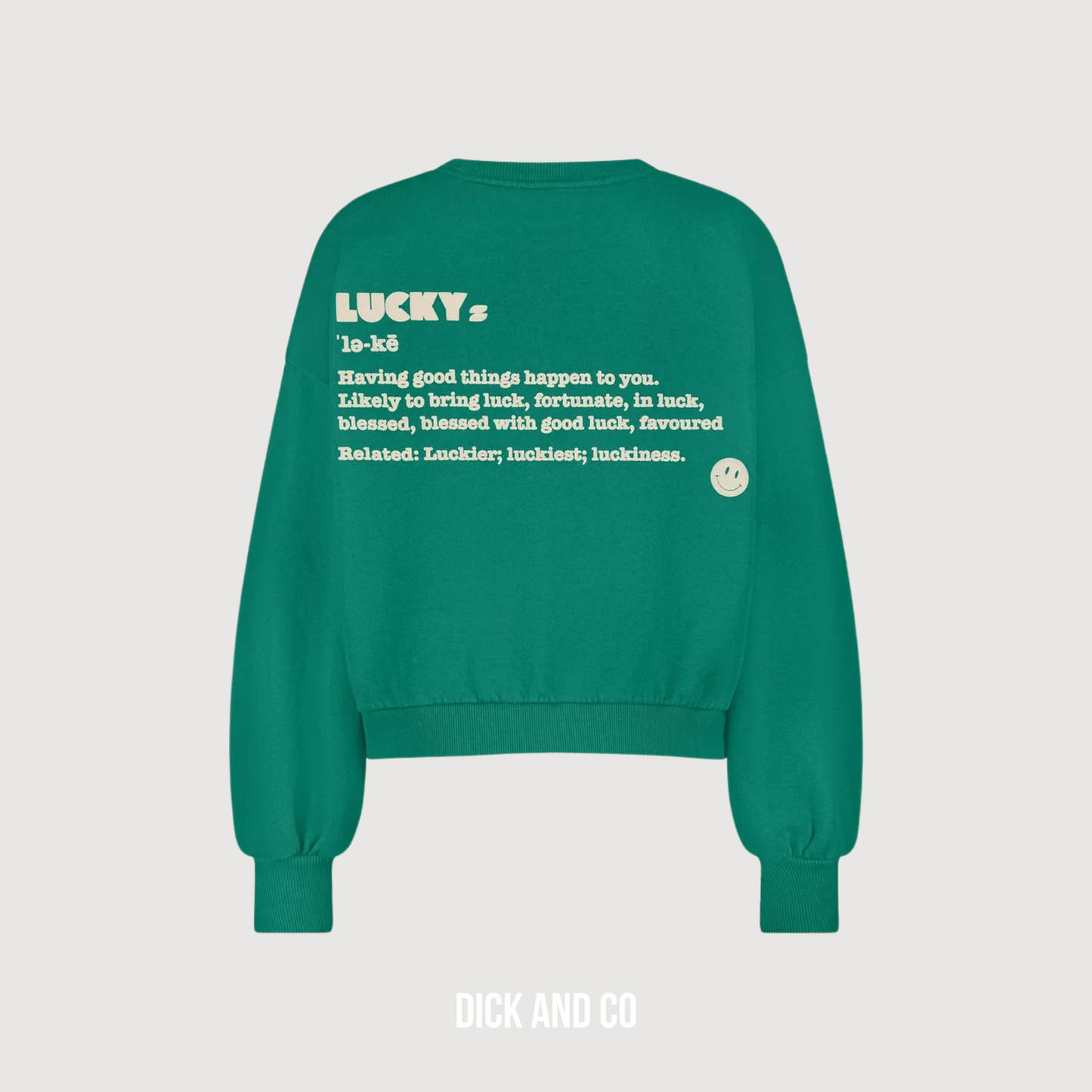 Bibi Dictionary Big sweater
