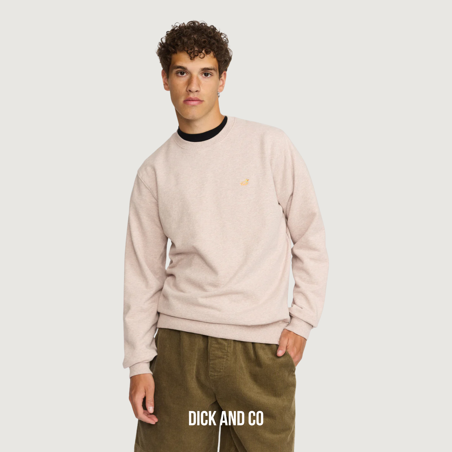 RVLT Regular Crewneck sweater in de kleur roze (lightpurple)