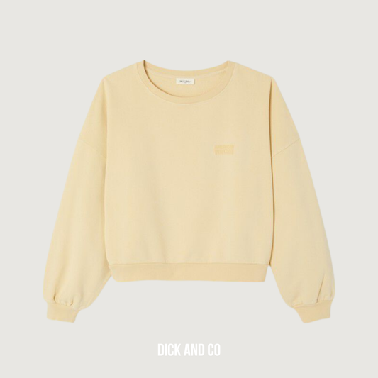 AMERICAN VINTAGE Jitbay sweater in de kleur geel (vintage limonade)