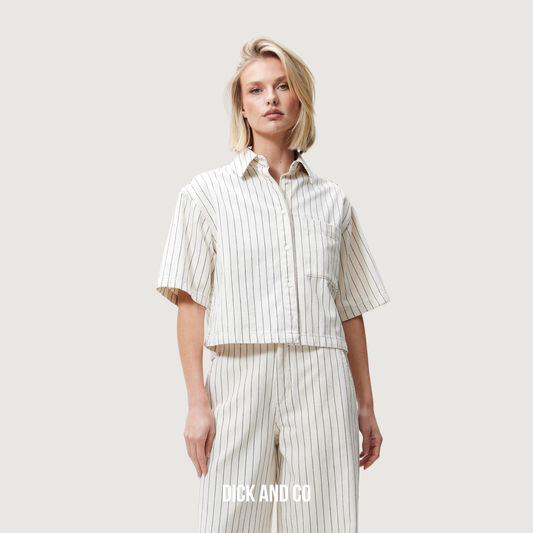 Striped Denim Blouse