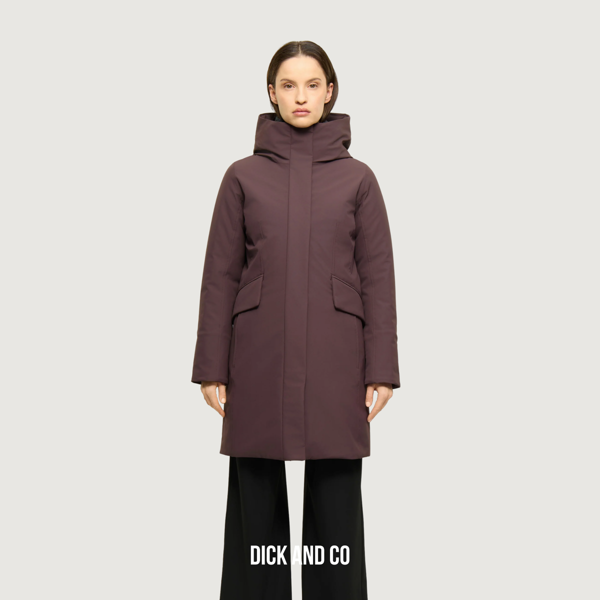 ELVINE Sophie jas in de kleur paars (dark purple)