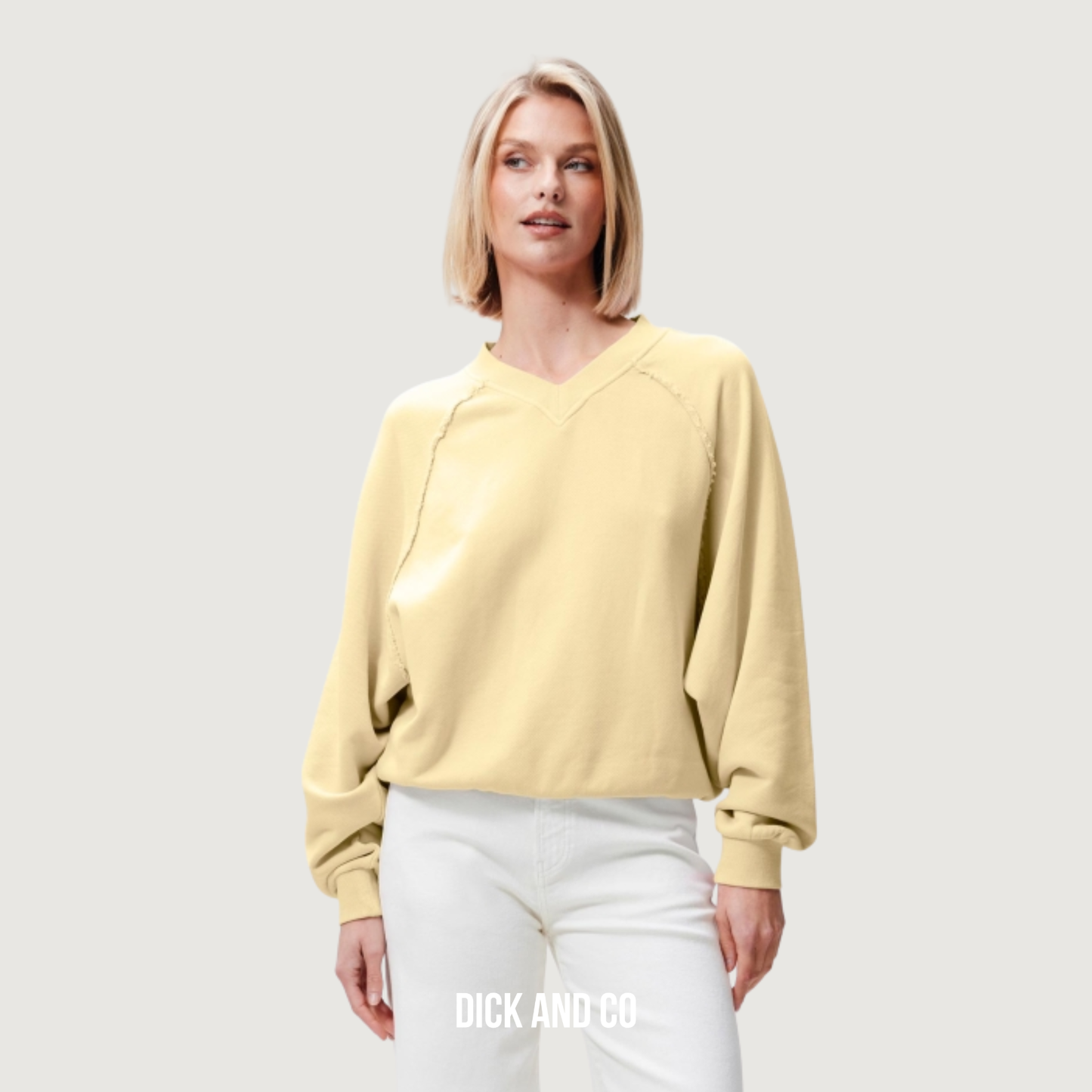 Sweater With Vneck 2601020604