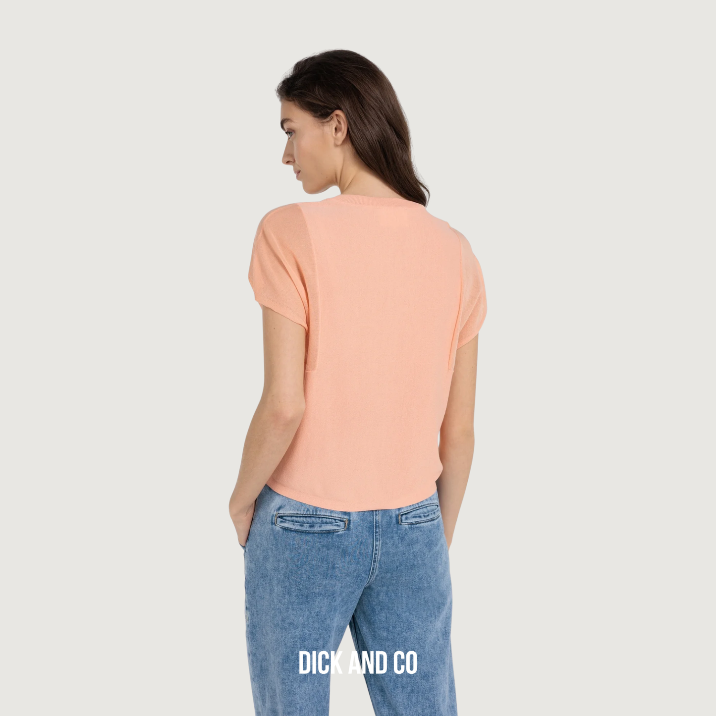 Top met transparante korte mouwen
