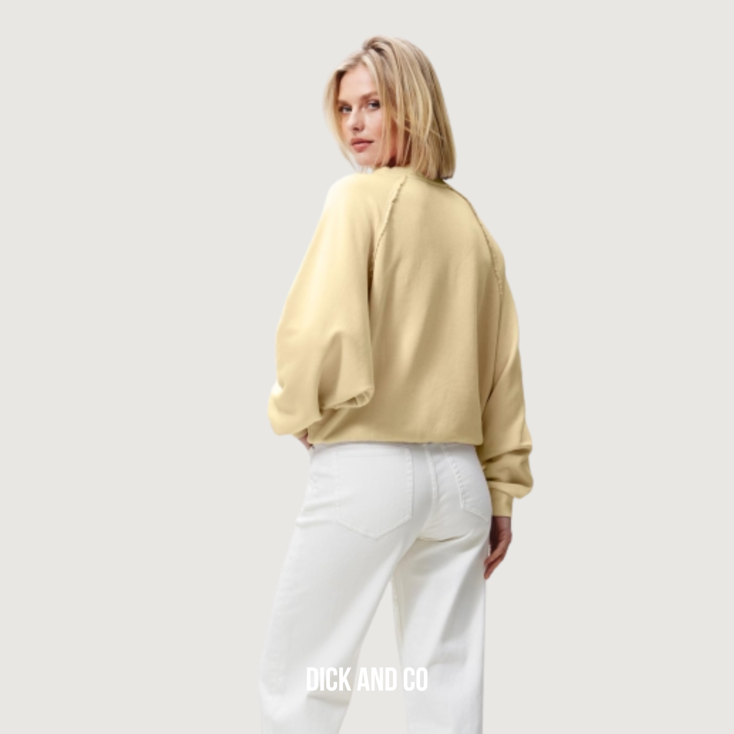 Sweater With Vneck 2601020604