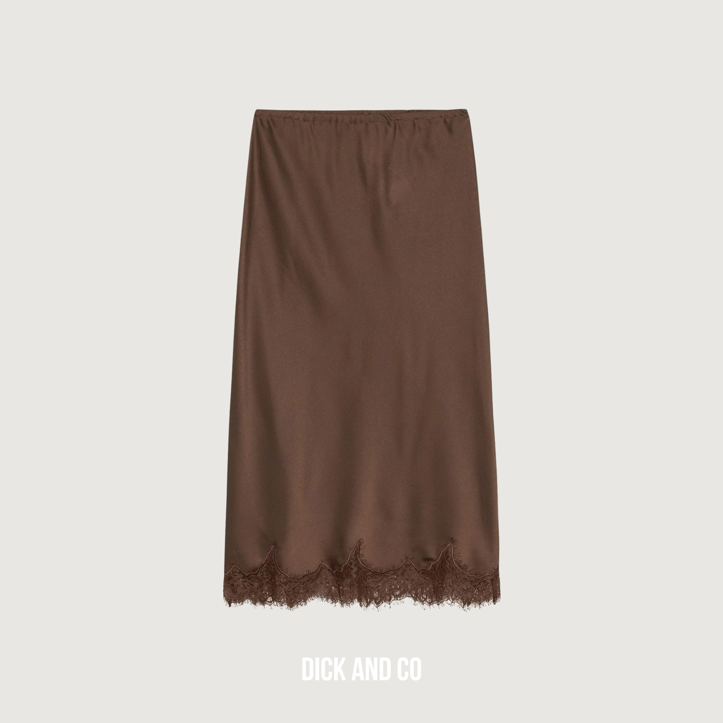 Lace Silky skirt