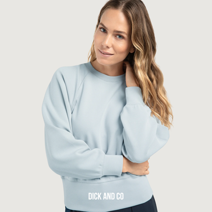 Raglan sweater (01-109099-510)