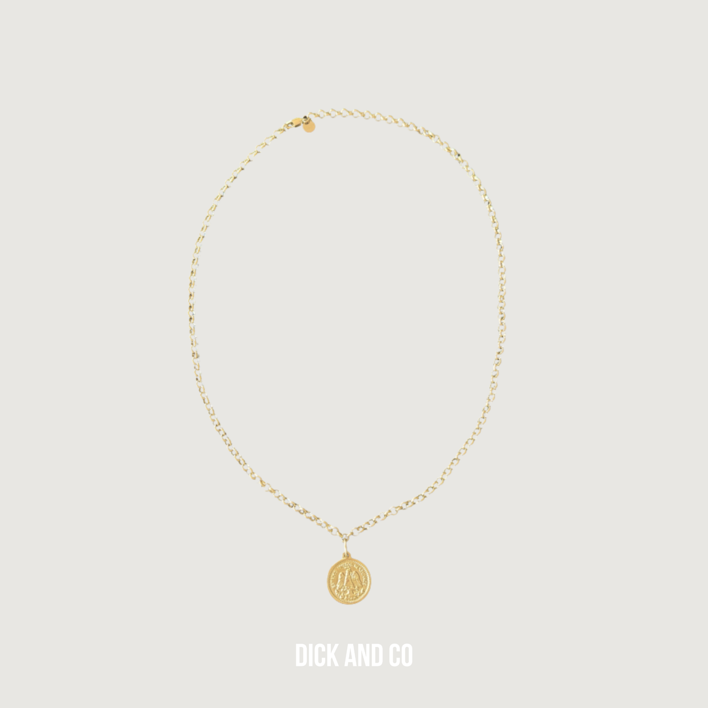 Coin Long Necklace