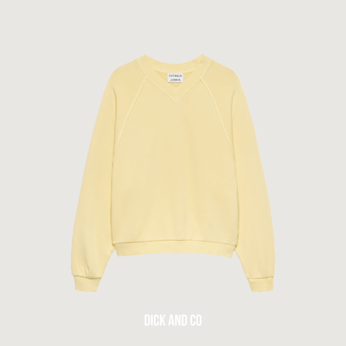 Sweater With Vneck 2601020604