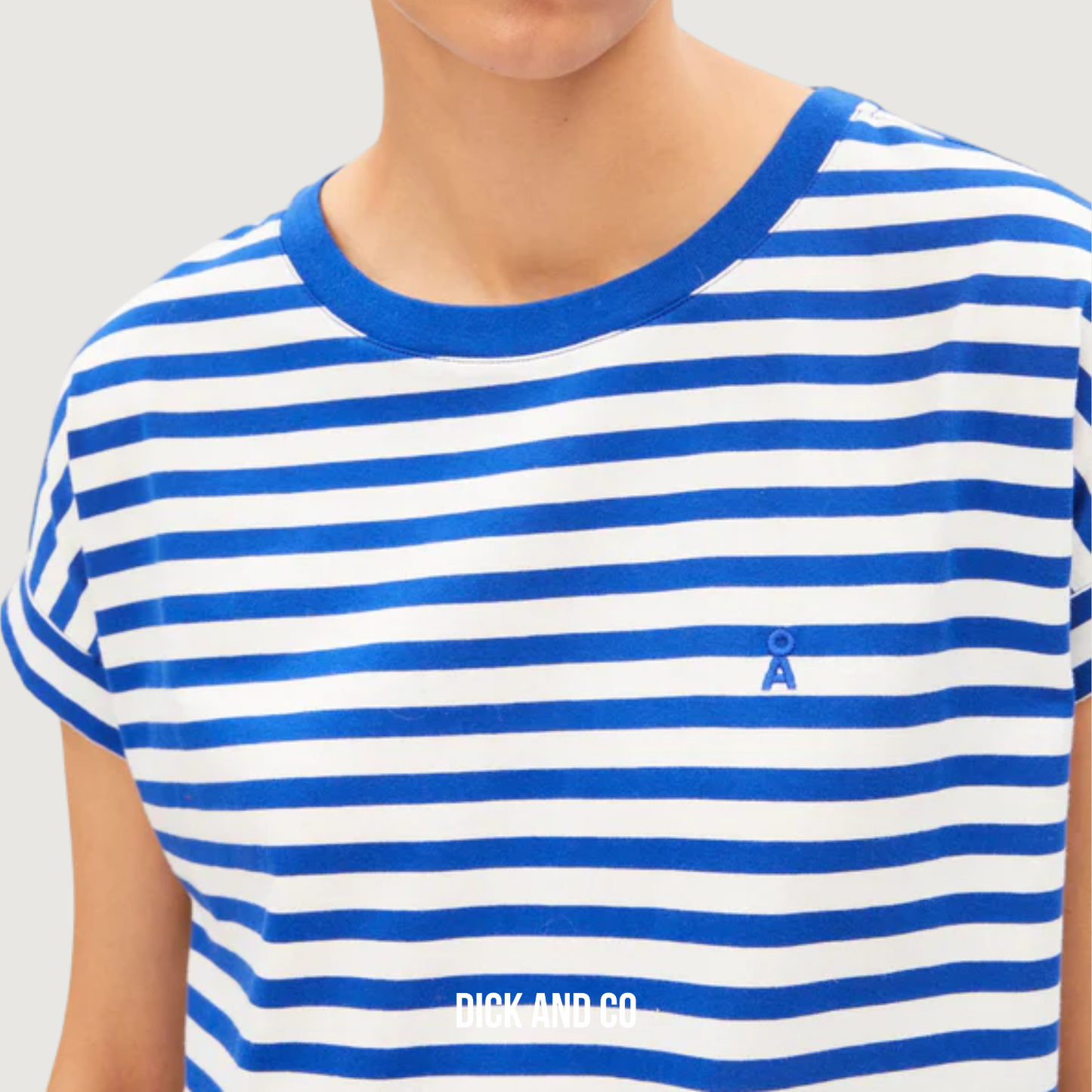Idaara Stripe T-Shirt