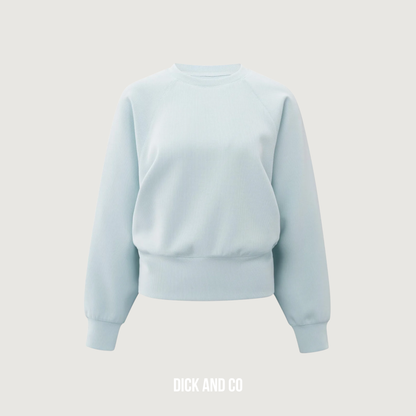 Raglan sweater (01-109099-510)